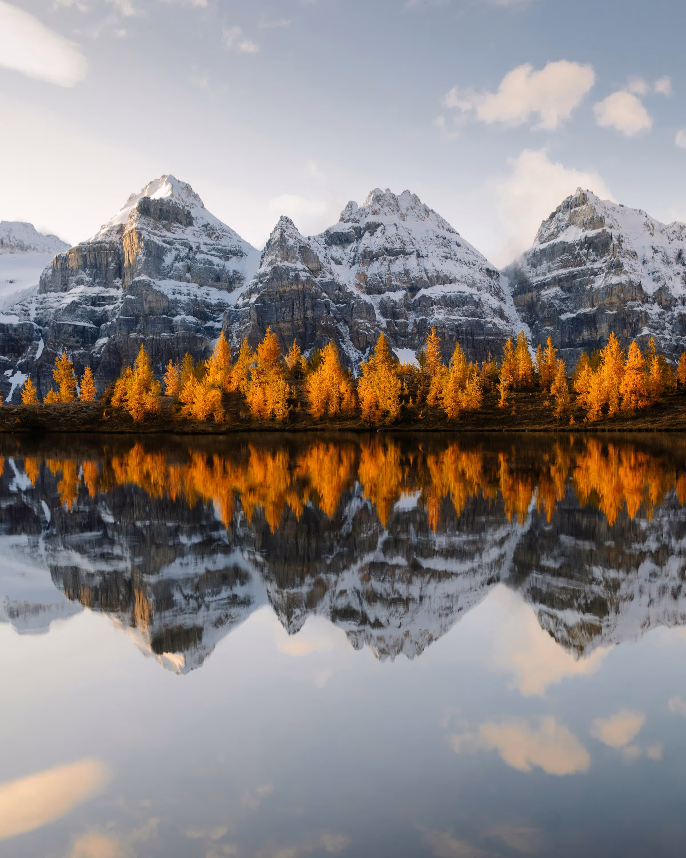 Larch season in Banff National Park, Alberta — BitForward serves businesses across Western Canada