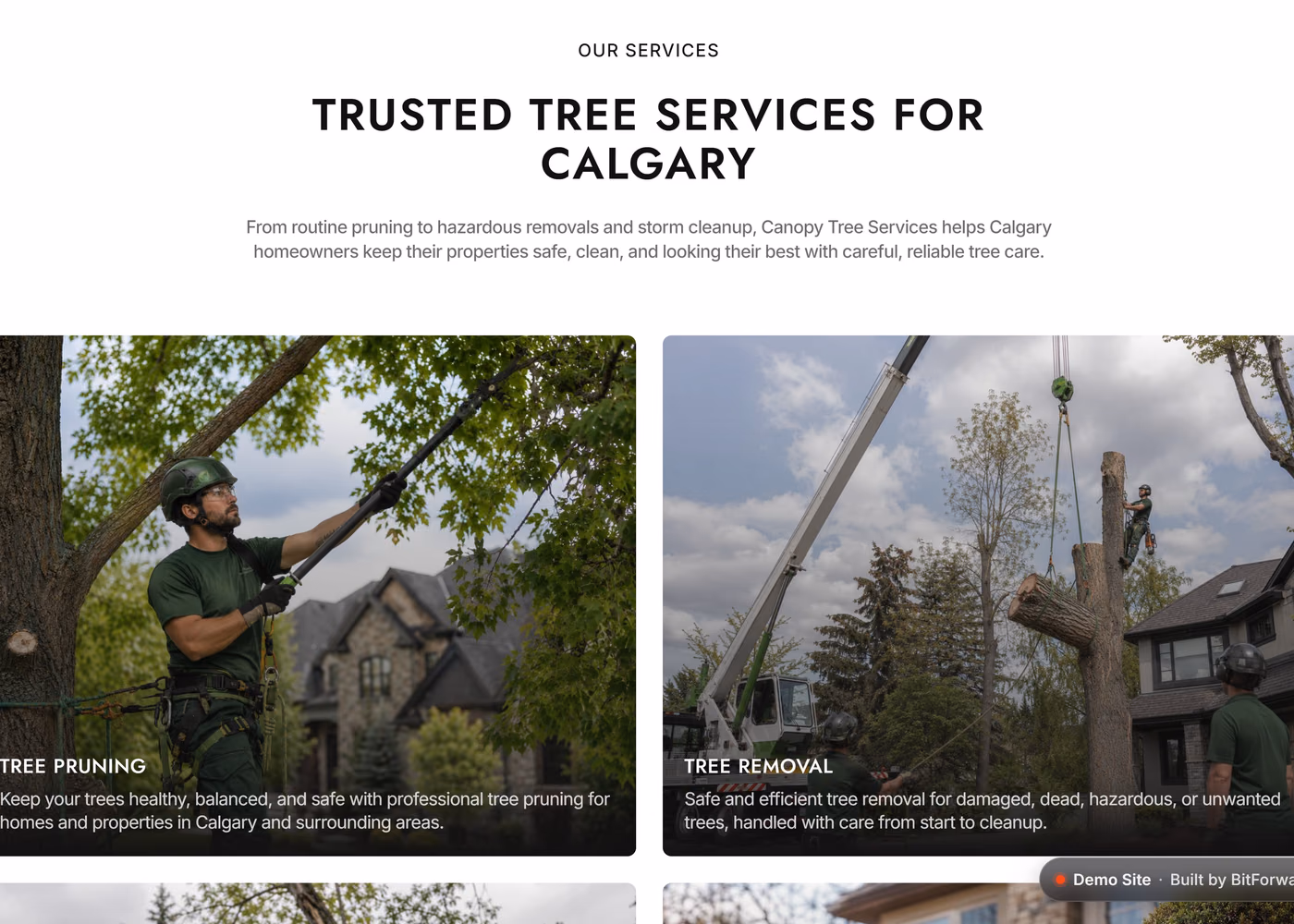Canopy Tree Services service overview cards