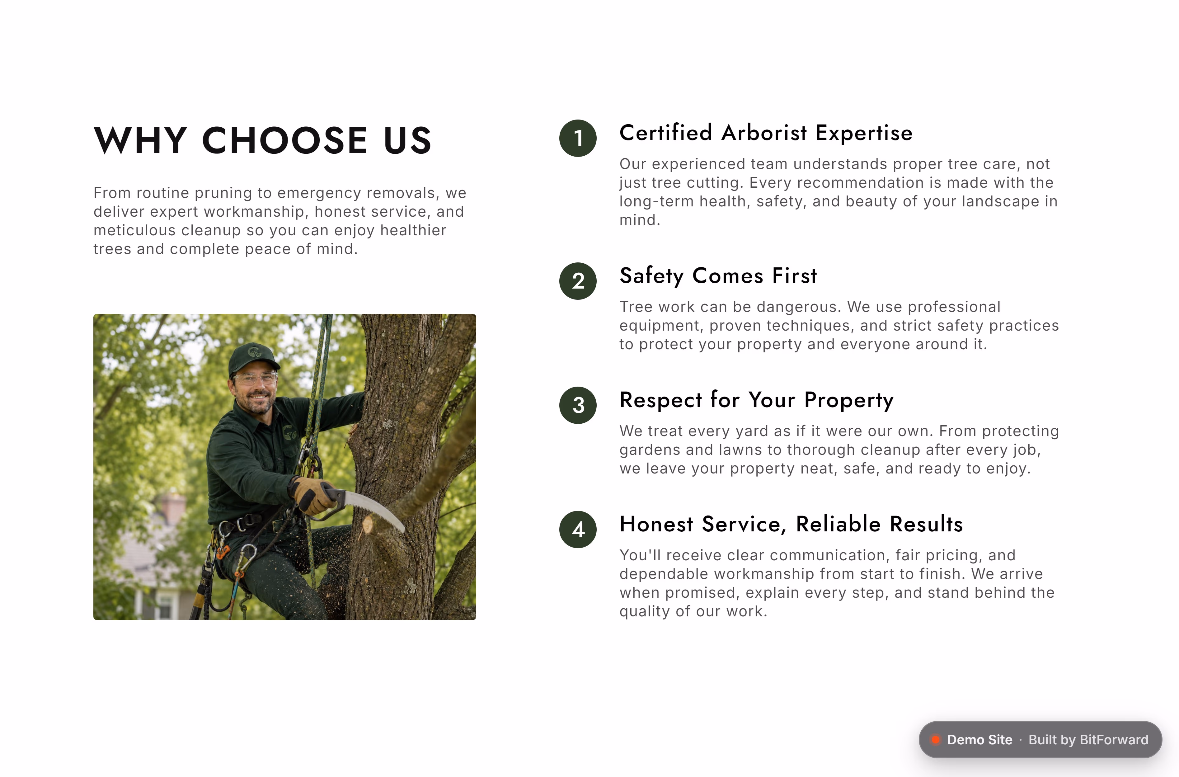 Canopy Tree Services website - why-choose-us and trust section