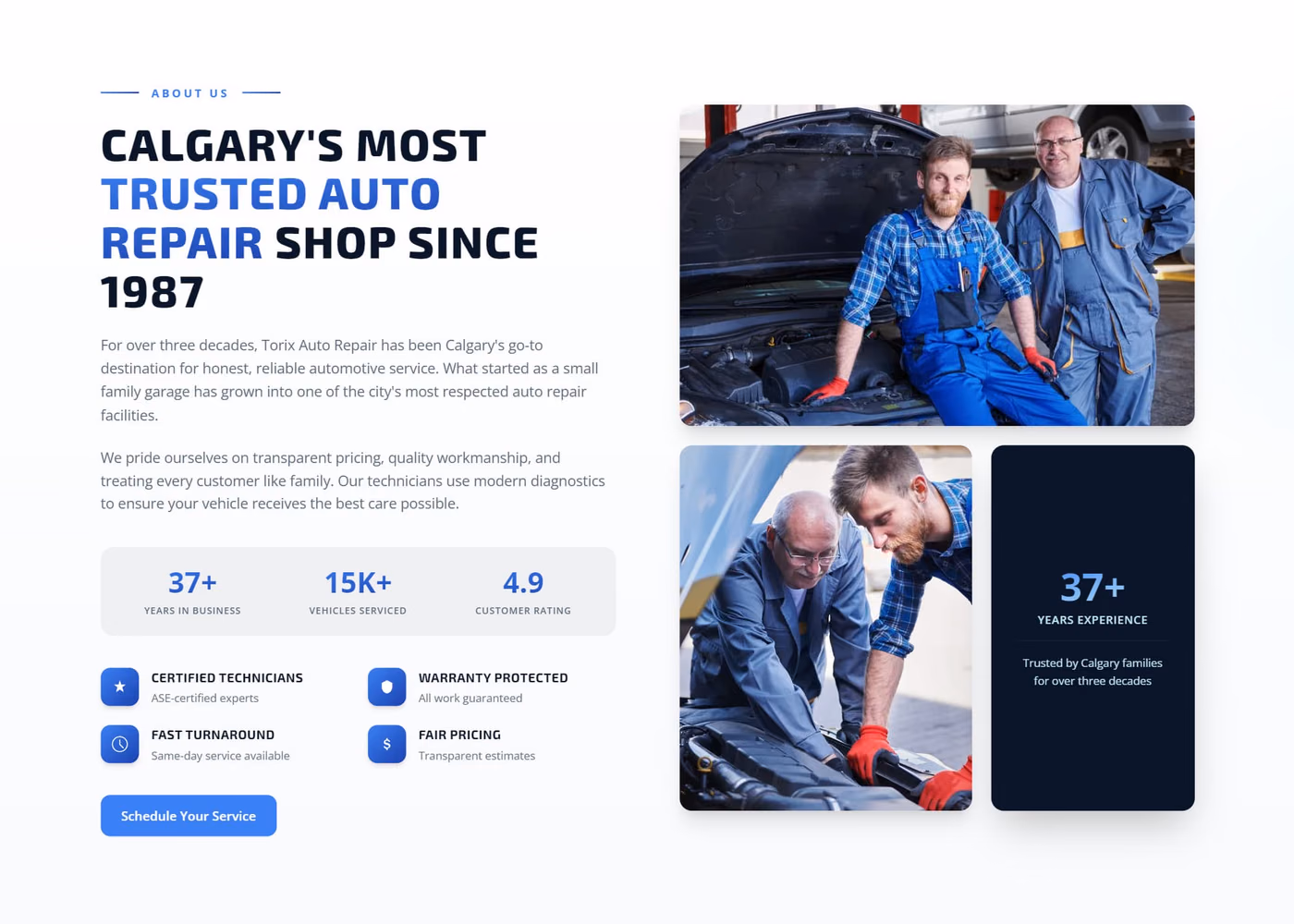 Torix Auto testimonials and reviews